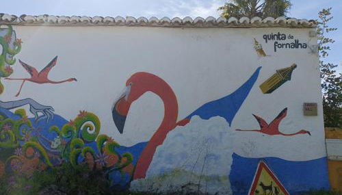 Quinta da Fornalha - Santuario Agroecologico - Foto 5