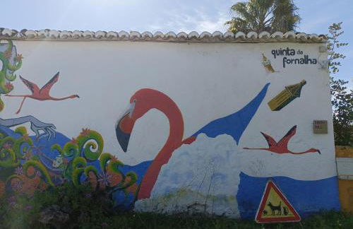 Quinta da Fornalha - Santuario Agroecologico - Foto 5