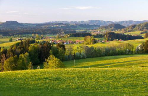 Allgäu-Glück Grünenbach - Foto 44