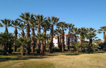 APARTAMENTO TURISTICO ELCANO - Photo 24