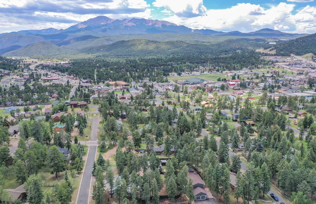 Treloars Terrace - Foto 48