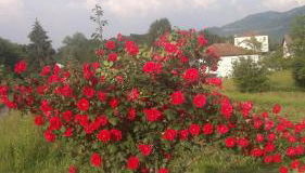 Residenza Letizia - Foto 2