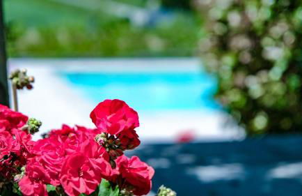 Villa La Topaia in Esclusiva - Foto 103