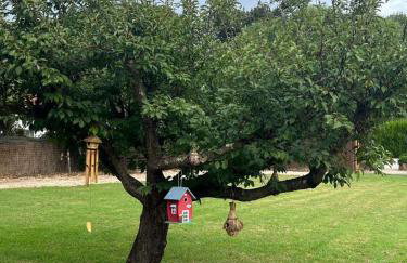 FINCA ALMAZARA - Foto 36