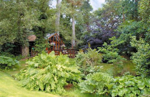 Forest Lodge - Foto 1