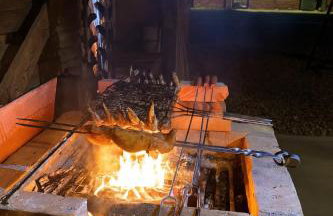 Miejski Las 8 - Foto 53