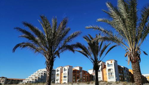 Palm Beach - Foto 2