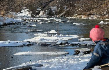 Bieszczady Beztroska Chata - Foto 16