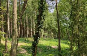 U źródła. Noclegi w Małym Dólsku - Foto 29