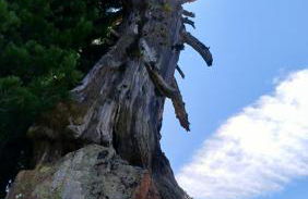 Casa Micéi - Photo 17