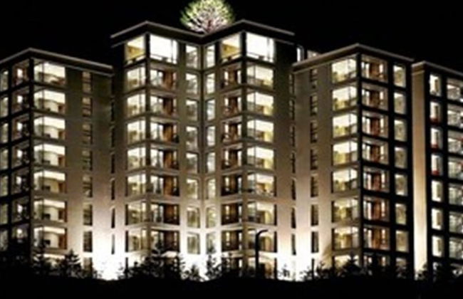 Pine Forest - Photo 39