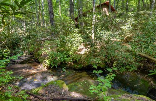 Stunning Dillard Home with Yard in Sky Valley! - Foto 35