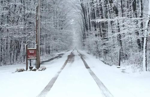 The Game Cabin at Rustic River - Foto 17