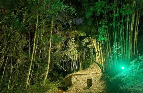 Refúgio Mata Atlântica, Riacho, Piscina, Natureza - Foto 55