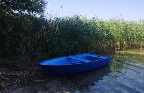 Mazury domek całoroczny przy lesie, jezioro - Photo 25