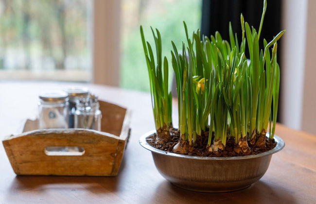 Comfortable Farmhouse With Terrace - Foto 19