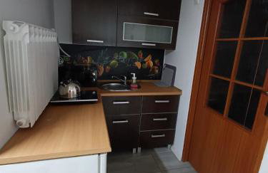 Agroturystyka Rudy Kocur Różana 24 Jaroszowice - Foto 10
