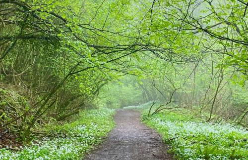 Steeple View - Romantic Wye Valley Country House Studio Apartment - Dog Friendly - Foto 28