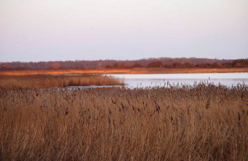 Gut-Rattelvitz-Galerie-F-hochwertig-Sauna-Kamin-eTankstelle-Spielscheune-15-000qm-Park-Land - Foto 70