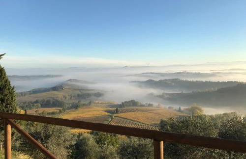 Fattoria Di Pancole - Foto 41