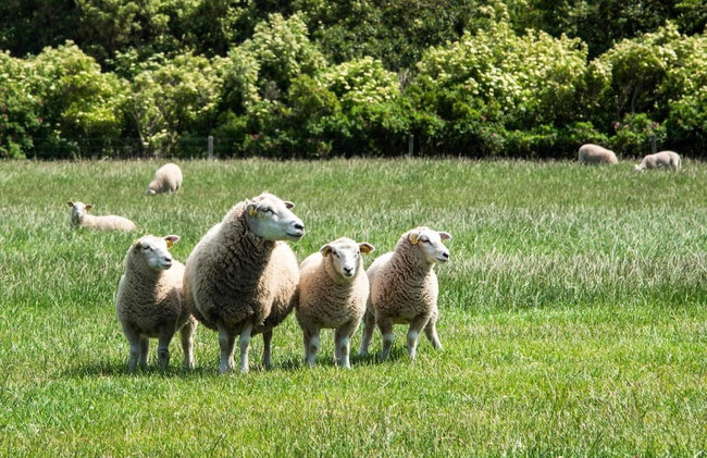 6 Person Holiday Home in Thyholm-by Traum - Foto 38