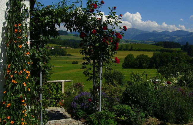 Holiday Apartment Hildegard Birds - Foto 11