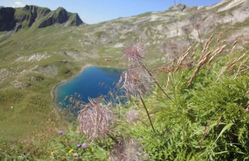 Haus Sonnenruh - Foto 32