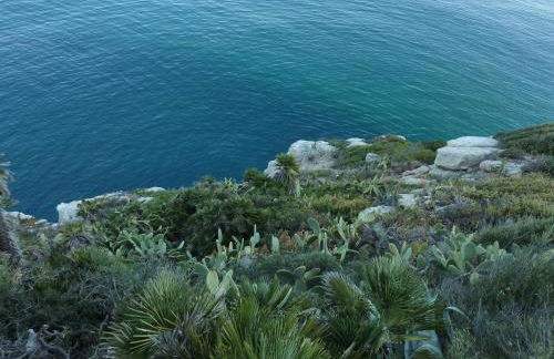 Jacqueline - Foto 48