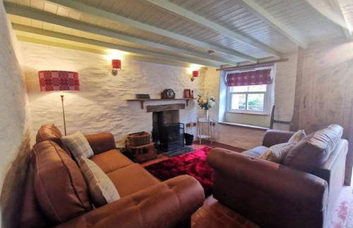 Penrallt-Fach Traditional Welsh cottage Pembrokeshire - Foto 57