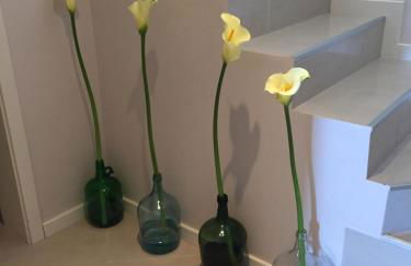 Casa da Grota - Foto 31