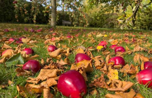 The Bakery a honeymooners favourite cosy stylish with lovely walks and pubs - Foto 16