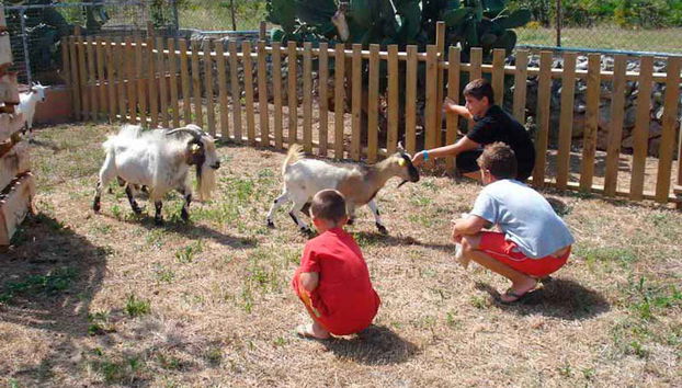 Visit the animals of Ses Roques ranch