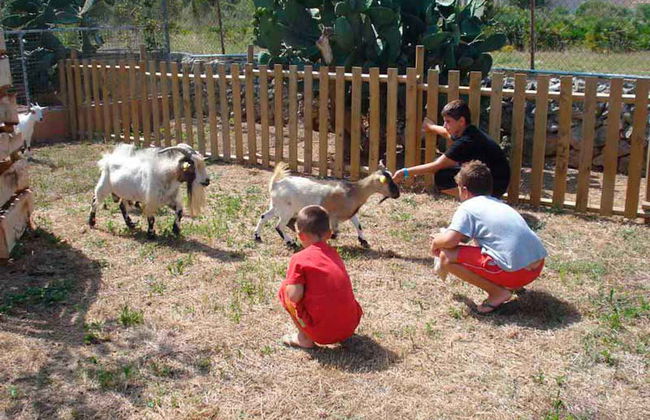 Passeio a cavalo por Alcudia - Foto 5