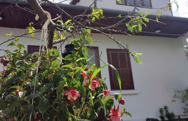 Hoa Son Villa Da Lat - Foto 10