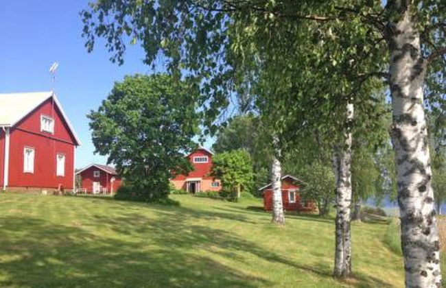 3 bedroom House in Pielavesi with sauna - Photo 2