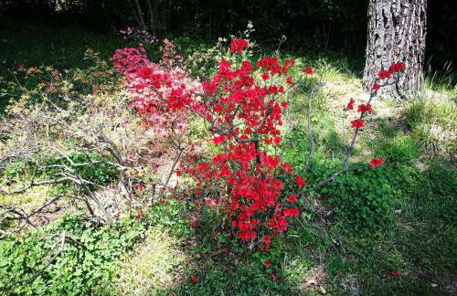 Hillside semi-detached villa with panoramic views - Foto 14