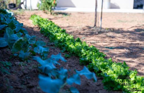 Alonia Cottage - Photo 38