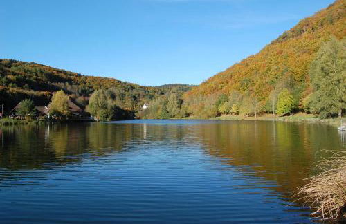 Holunder nah am Waldsee 1 - Foto 16
