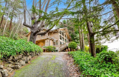 Pacific Dream - Foto 32