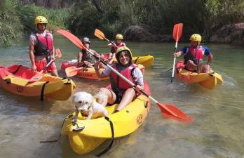 CASA RURAL C PUENTE DEL SEGURA - Foto 26