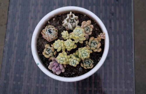 King Suite, 5 Queen beds Spacious Modern Home - Foto 33