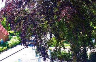 Rosen Villa - Photo 24