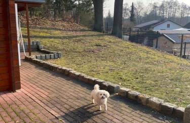 Eichberg Ferienhäuser - Foto 52