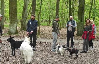 Różany Domek - Foto 22