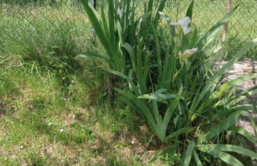 ai Confini - Foto 19