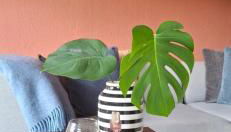 Odenwald Lounge im Naturpark Bergstraße-Odenwald - Photo 5