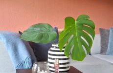 Odenwald Lounge im Naturpark Bergstraße-Odenwald - Photo 5