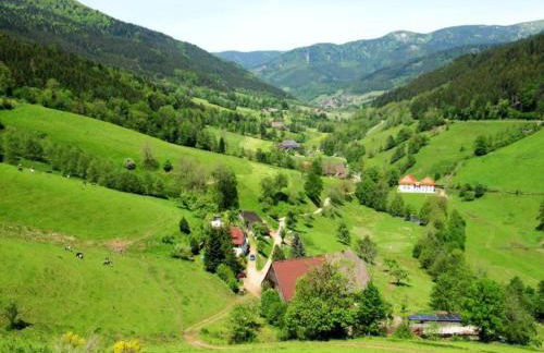 Lush Apartment in Furtwangen near Black Forest with Balcony - Foto 74