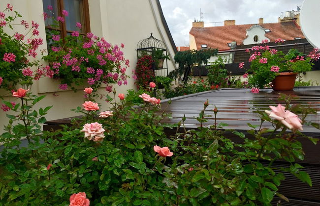 Old Town Boutique Apartments - Foto 27