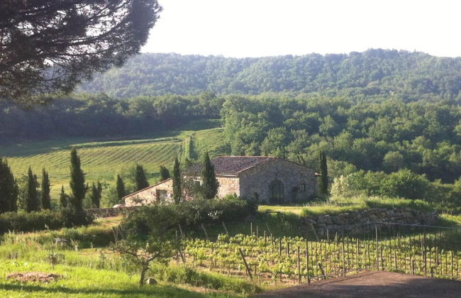 Podere Terreno alla Via della Volpaia - Foto 52